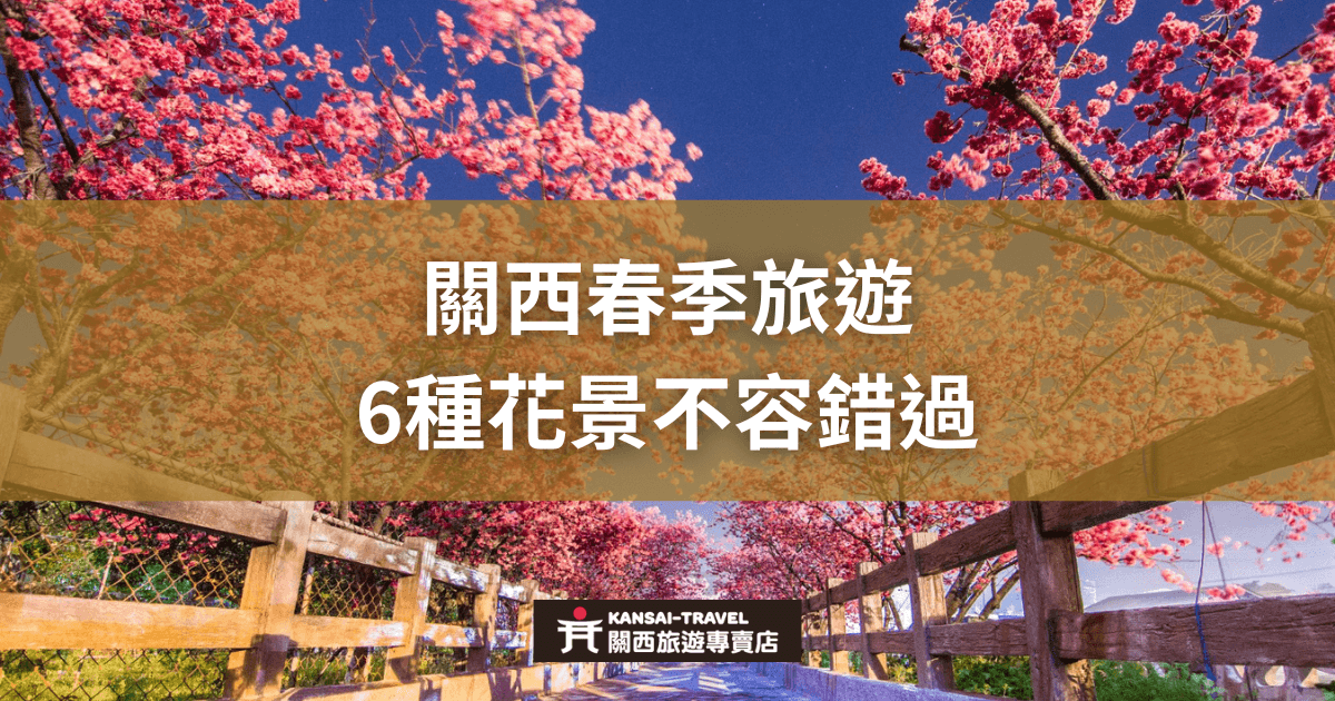 一條木製欄杆的小橋，兩旁盛開著鮮艷的粉紅色櫻花。標題文字為「關西春季旅遊：6種花景不容錯過」，展現了關西地區春季美麗的花景和自然風光。