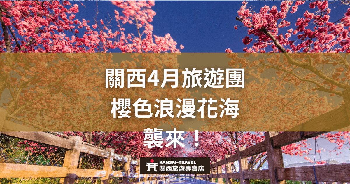 一片滿是盛開櫻花的浪漫場景，天空藍色清澈，木製的圍欄引導遊客進入花海。標題強調關西4月旅遊團的櫻花季盛景，令人陶醉。