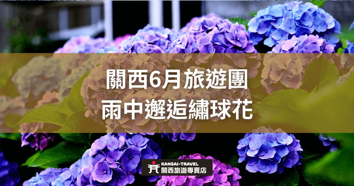 一片繡球花盛開的花園，紫色、藍色的繡球花在綠葉映襯下格外美麗，背景帶有雨後清新的氛圍，突顯6月關西旅遊團在雨季中欣賞繡球花的浪漫體驗。