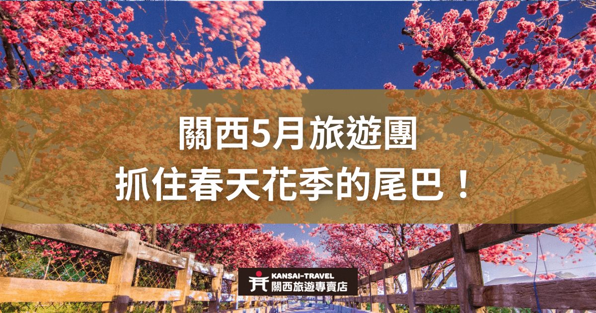 一條木製圍欄的小路兩側，粉紅色的櫻花盛開在藍天之下，強調5月關西旅遊團趕上春天花季的尾聲，畫面充滿浪漫春意的氛圍。