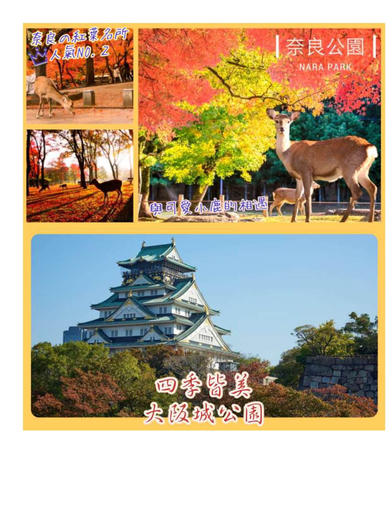 金秋楓紅關西輕旅行5日 Br178+177 Page 0003